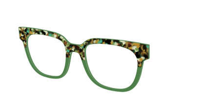 The Forest Tortoise Crystal Split