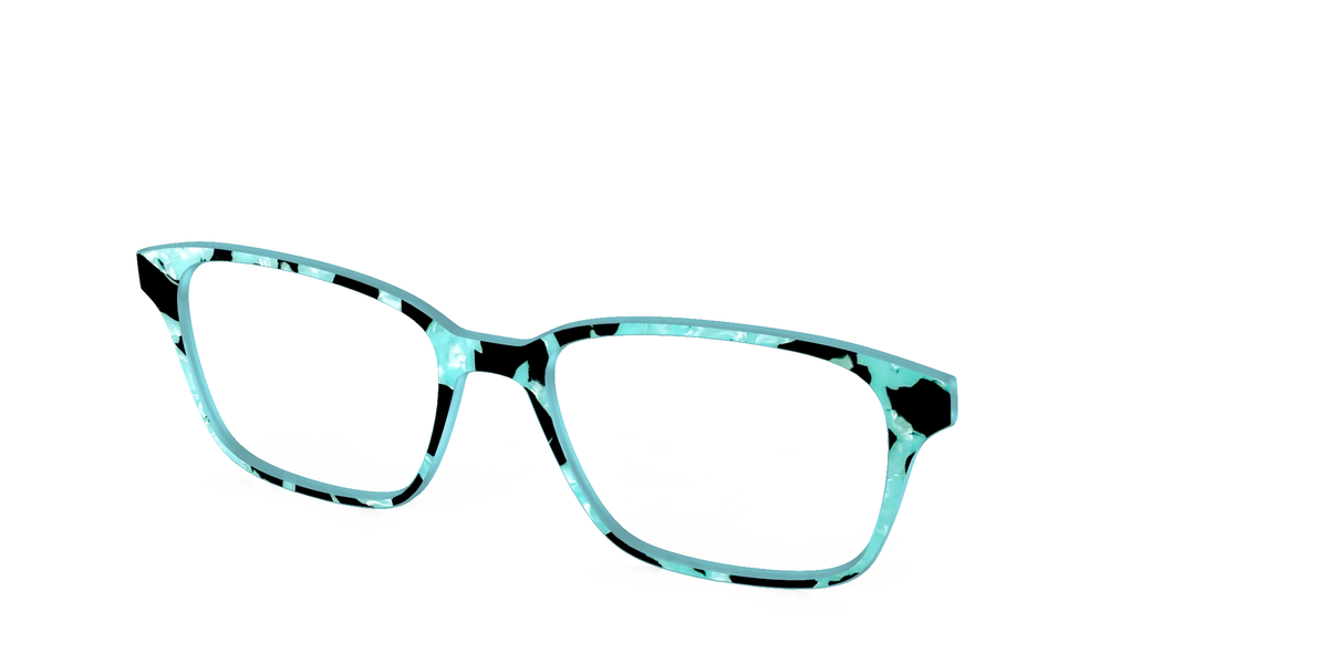The Robin's Egg Pearl Tortoise