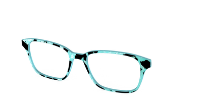 The Robin's Egg Pearl Tortoise
