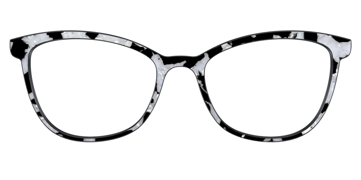 The Black & White Pearl Tortoise