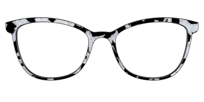 The Black & White Pearl Tortoise