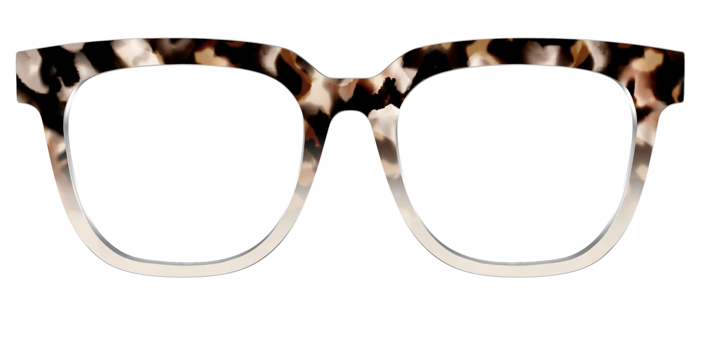 The Vanilla Latte Tortoise