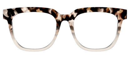 The Vanilla Latte Tortoise