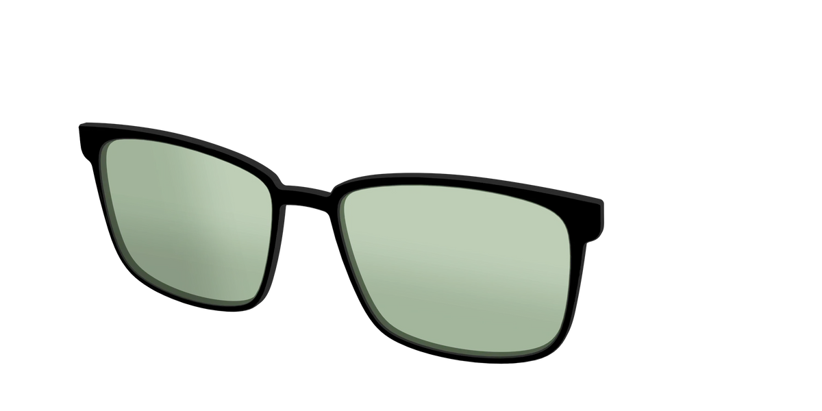 The Black With Sage Green Lens