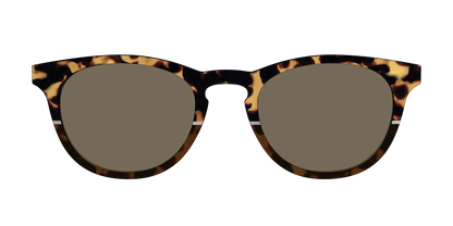 The Polarized Chic Tortoise Split Sun Top