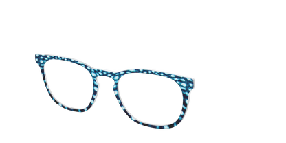 The Whale Shark Spots