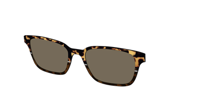 The Polarized Chic Tortoise Split Sun Top