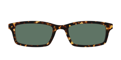 The Non-Polarized Green Tortoise Sun Top