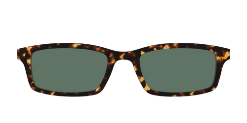 The Non-Polarized Green Tortoise Sun Top