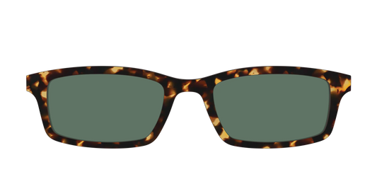 The Non-Polarized Green Tortoise Sun Top