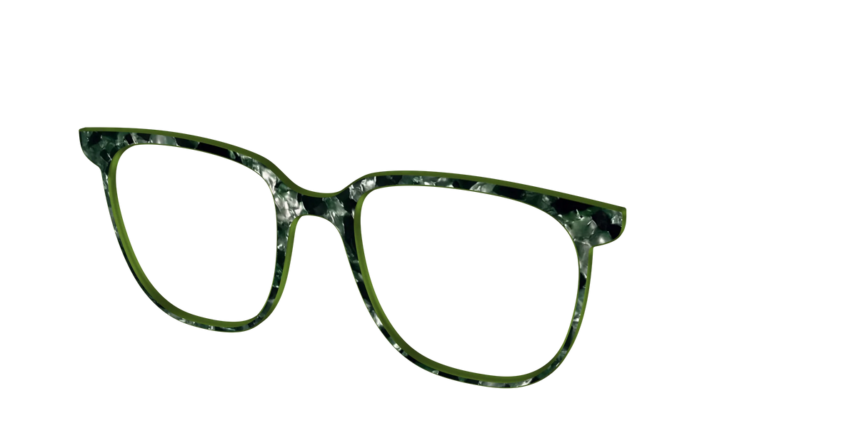The Olive Pearl Tortoise