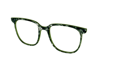 The Olive Pearl Tortoise