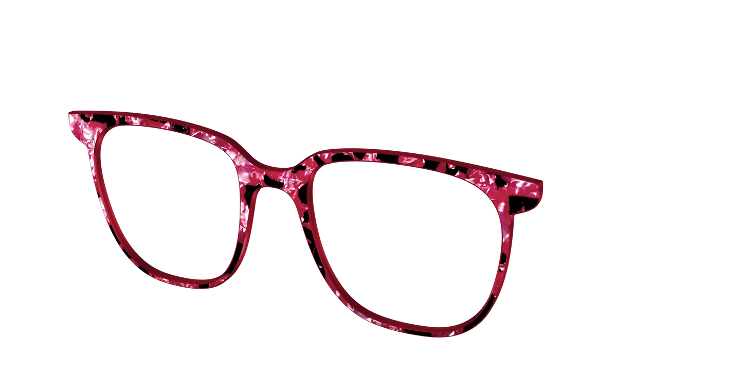 The Raspberry Pearl Tortoise
