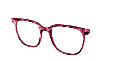 The Raspberry Pearl Tortoise