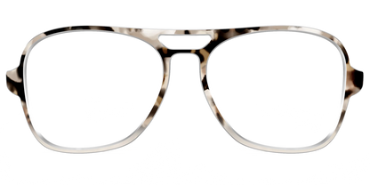 The Vanilla Latte Tortoise