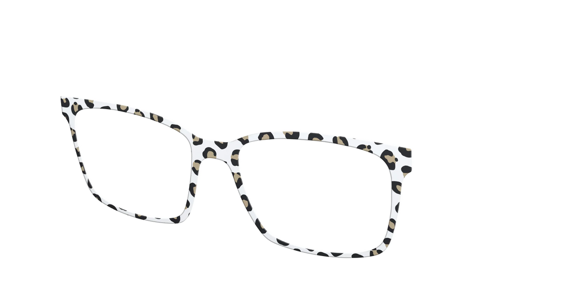 The Classic Cheetah