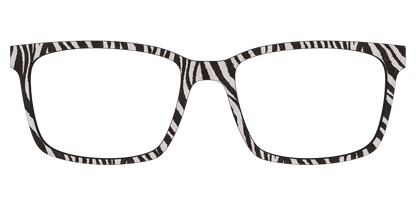 The Zebra Stripes