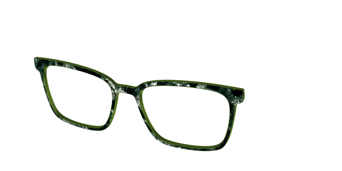 The Olive Pearl Tortoise