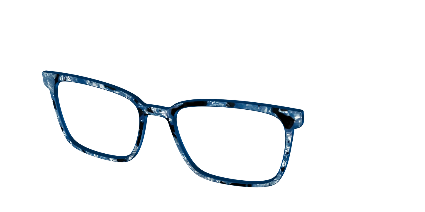 The Midnight Blue Pearl Tortoise