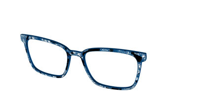 The Midnight Blue Pearl Tortoise
