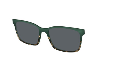 The Polarized Spruce Tortoise Sun Top