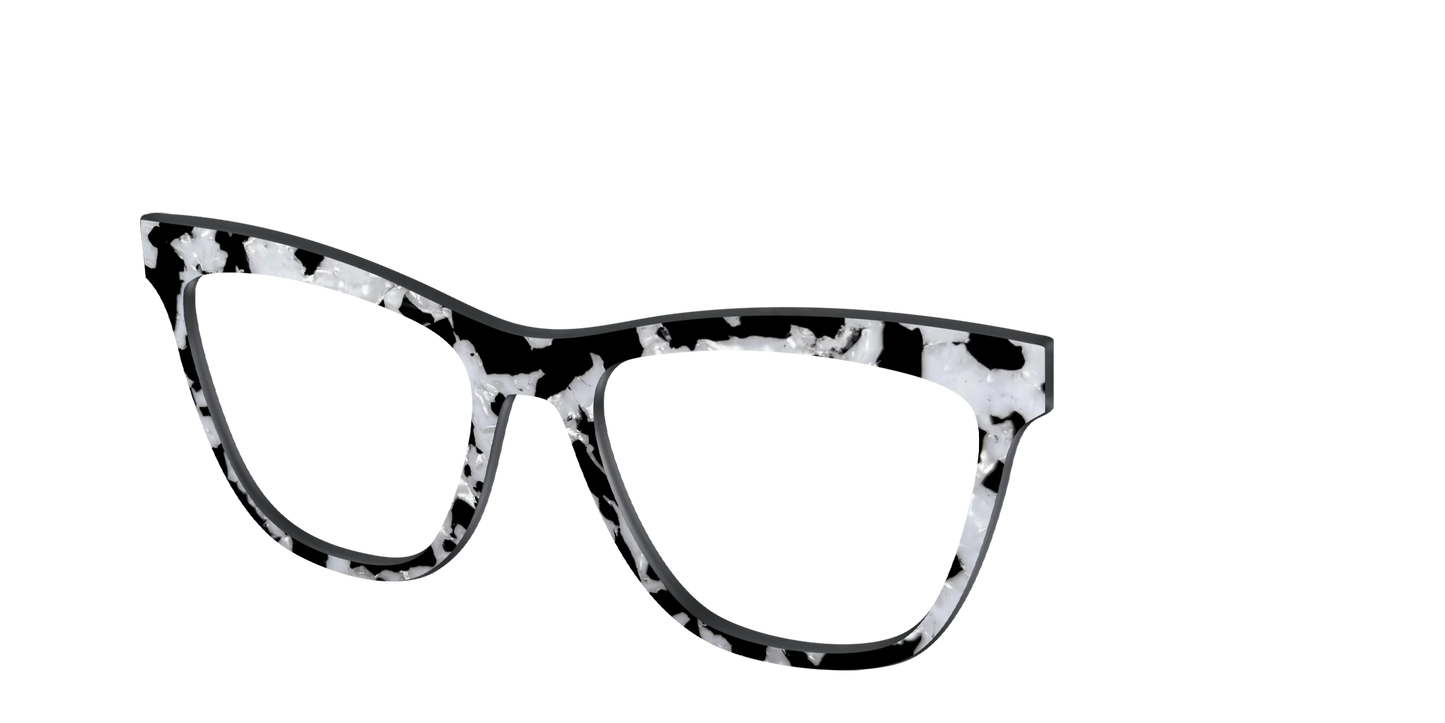 The Black & White Pearl Tortoise