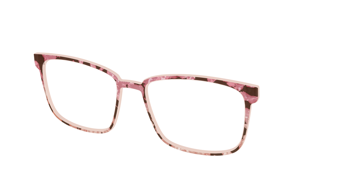 The Pale Peach Pearl Tortoise
