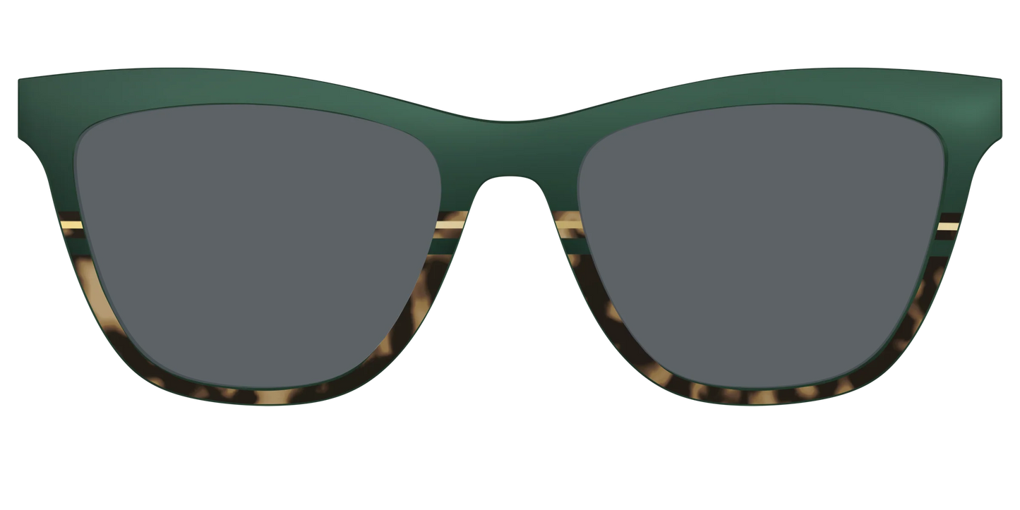 The Polarized Spruce Tortoise Sun Top