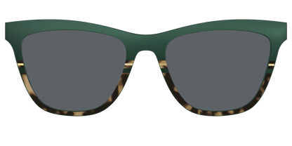 The Polarized Spruce Tortoise Sun Top