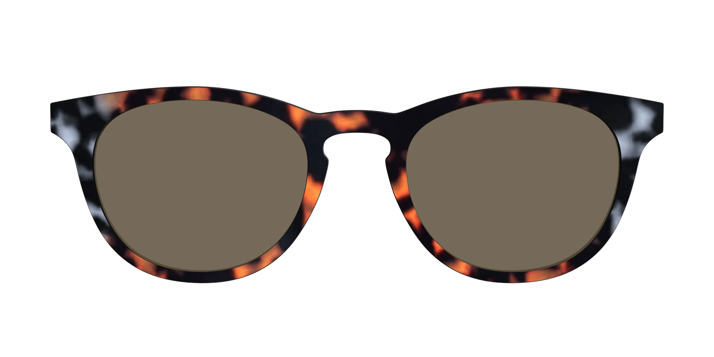 The Polarized Gray & Amber Tortoise Sun Top