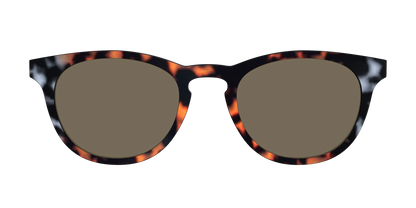 The Polarized Gray & Amber Tortoise Sun Top