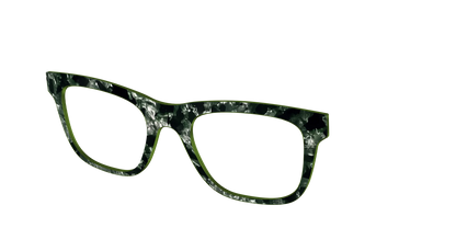 The Olive Pearl Tortoise