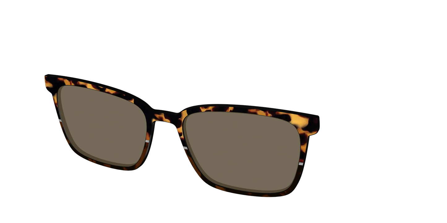 The Polarized Chic Tortoise Split Sun Top