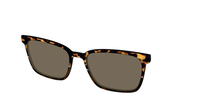 The Polarized Chic Tortoise Split Sun Top