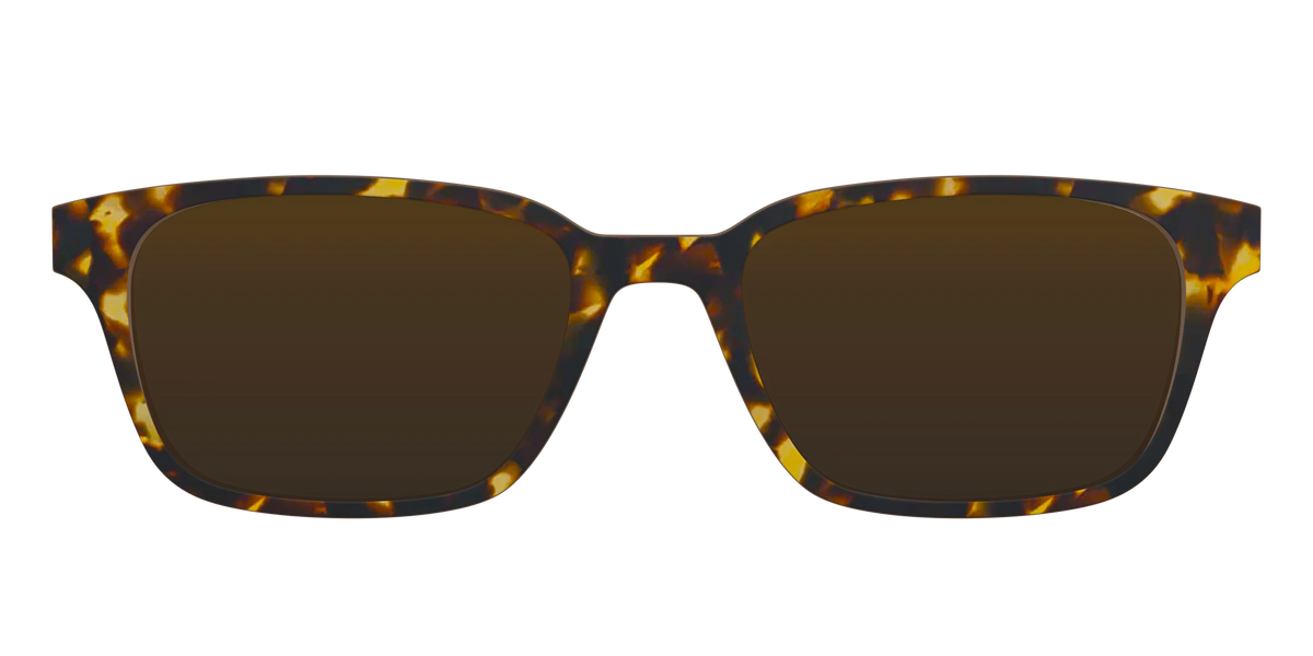 The Polarized Tortoise Sun Top