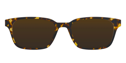 The Polarized Tortoise Sun Top