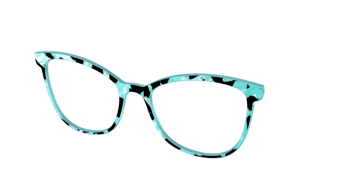The Robin's Egg Pearl Tortoise