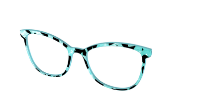 The Robin's Egg Pearl Tortoise