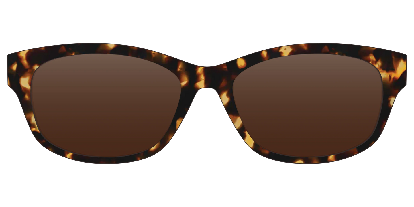 The Polarized Tortoise Sun Top