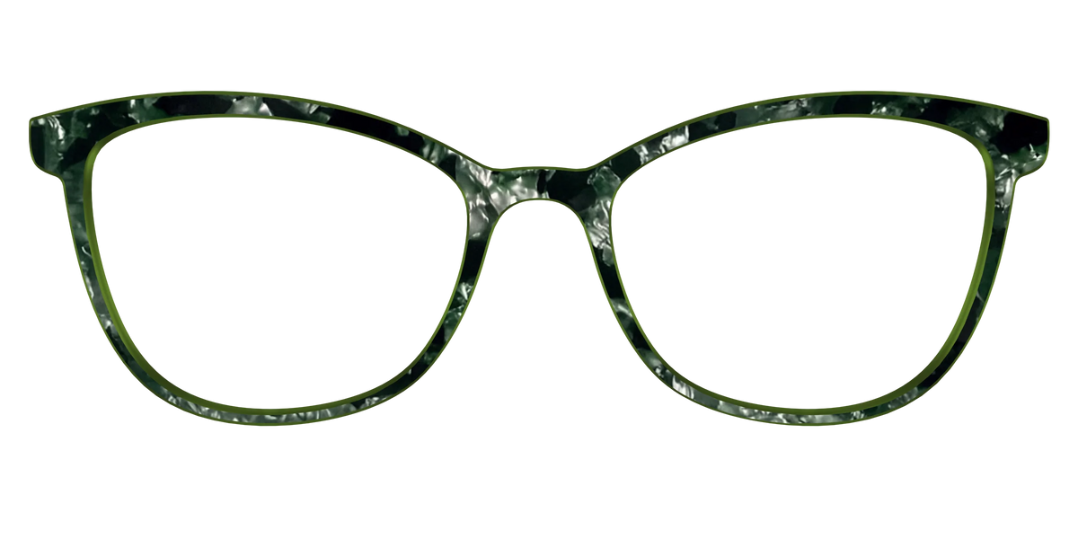 The Olive Pearl Tortoise