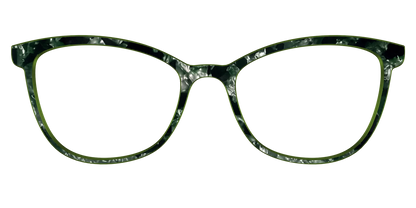 The Olive Pearl Tortoise