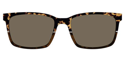 The Polarized Chic Tortoise Split Sun Top