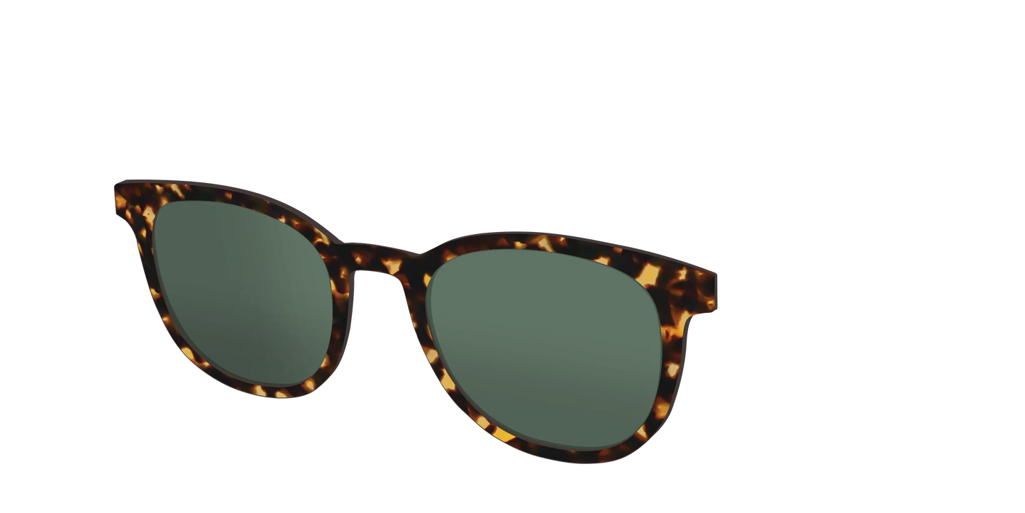 The Non-Polarized Green Tortoise Sun Top