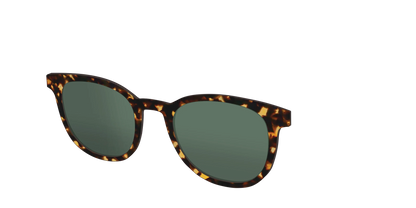 The Non-Polarized Green Tortoise Sun Top