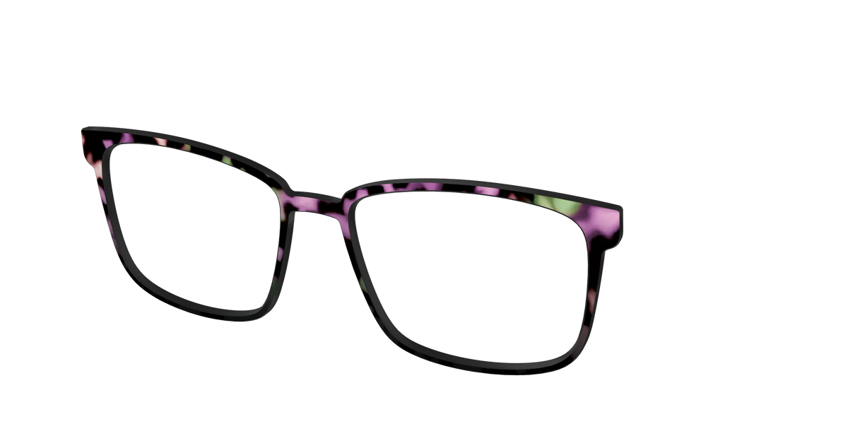 The Boysenberry Tortoise