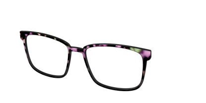 The Boysenberry Tortoise