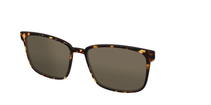 The Polarized Tortoise Sun Top