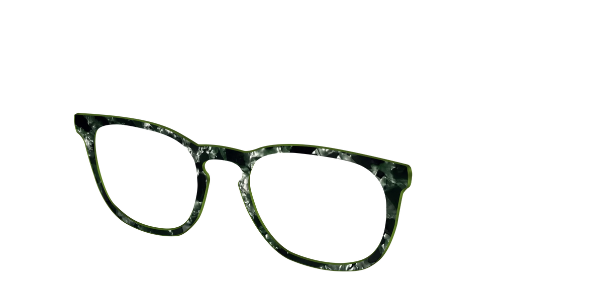 The Olive Pearl Tortoise