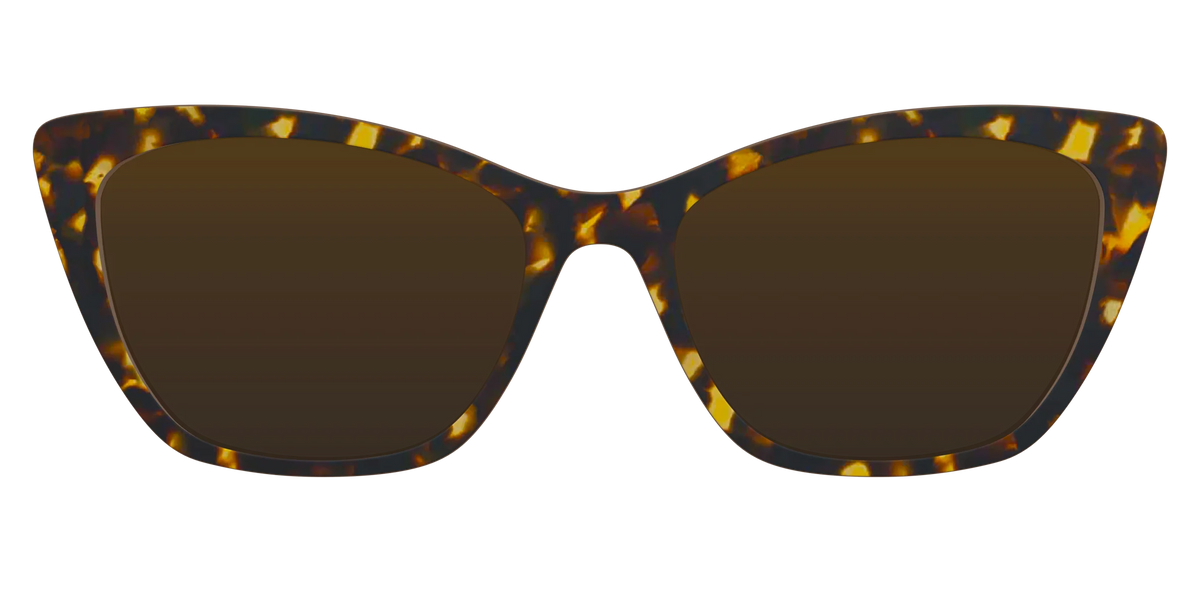 The Polarized Tortoise Sun Top
