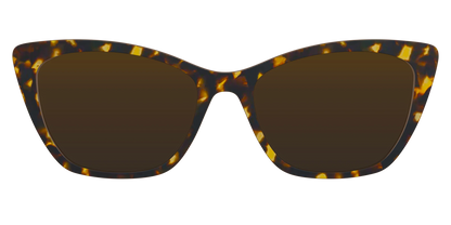 The Polarized Tortoise Sun Top